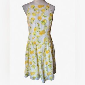 ANN TAYLOR WM’S SZ 10 Petite Lemon Print Sleeveless Pleated, Seersucker Sundress